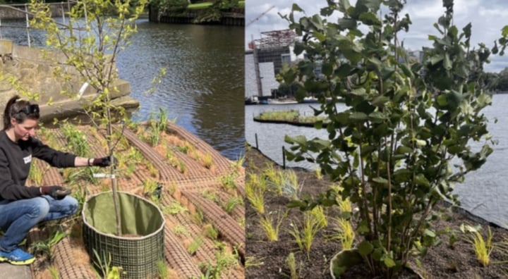 Blog Image - 800x400 - Floating Ecosystems – Planting Trees